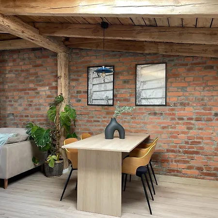 Apartament Loft 75Mkw W Sercu Miasta Bydgoszcz Exterior foto